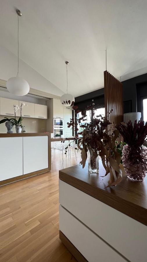 Apartament Atico De Diseno Con Terraza En El Centro De Olot Zewnętrze zdjęcie