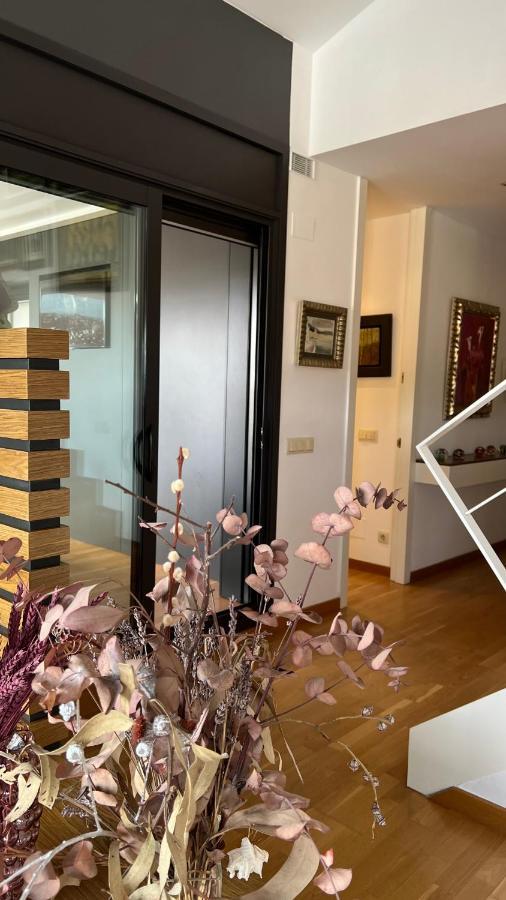 Apartament Atico De Diseno Con Terraza En El Centro De Olot Zewnętrze zdjęcie